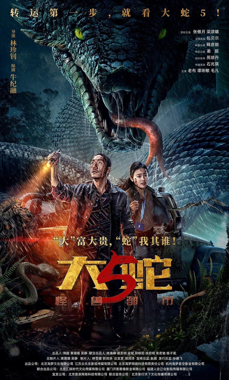 剧照