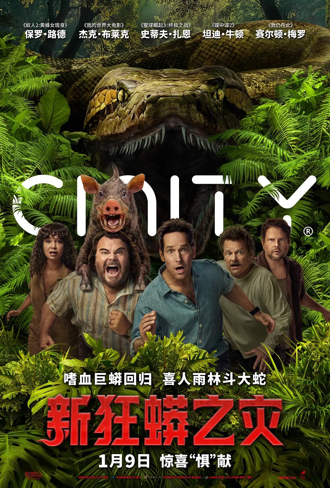 剧照