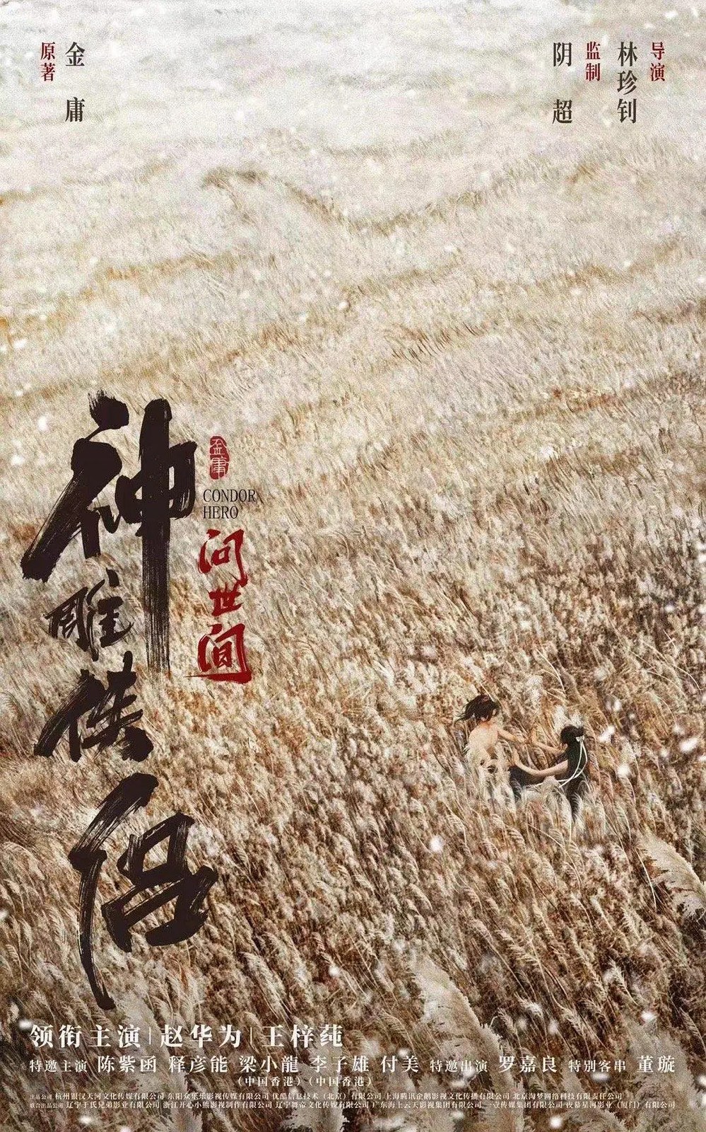 《神雕侠侣 问世间》