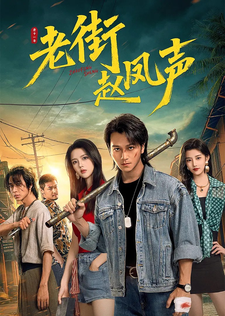 《老街赵凤声》