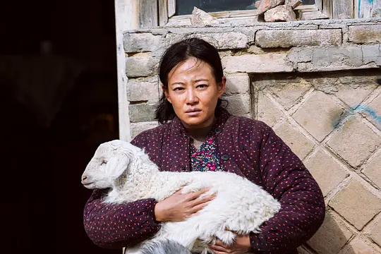 剧照