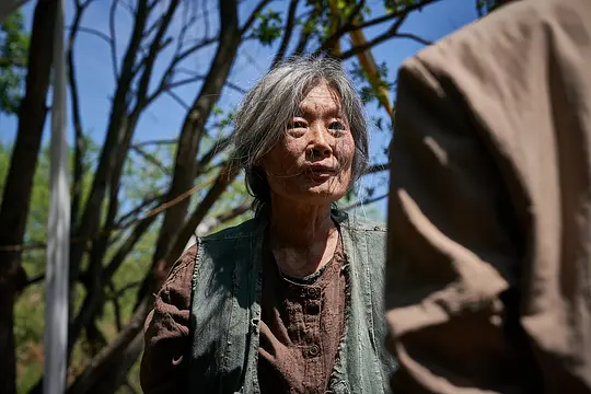剧照