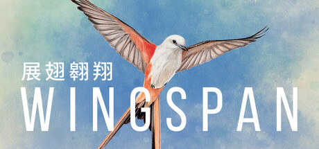 展翅翱翔 封面