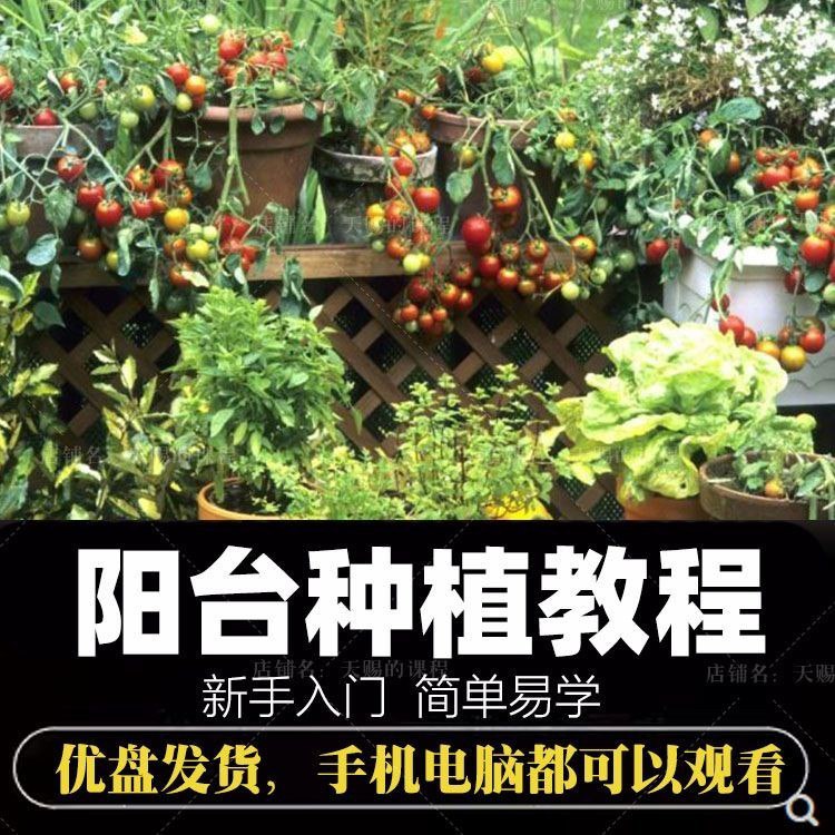 自学阳台种植蔬菜水果盆栽绿植盆景视频教程阳台科学种植技术课程