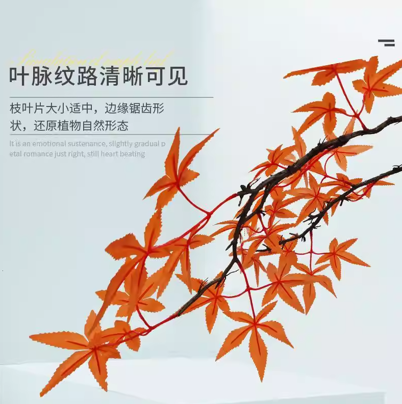 花艺爱好者必看！实用插花艺术全攻略
