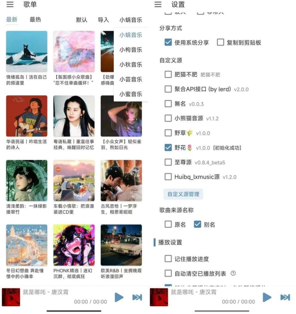 洛雪音乐Pro版 | 自带音源，Pro版就是好用【30.3MB】