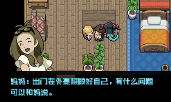 宝可梦:极夜永昼无相 封面