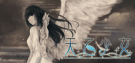 天之少女 封面