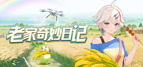 老家奇妙日记 封面